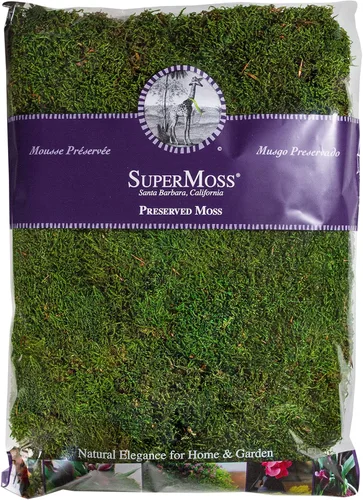 Super Moss 21513 - Musgo conservado de hojas, verde fresco, 16 onzas