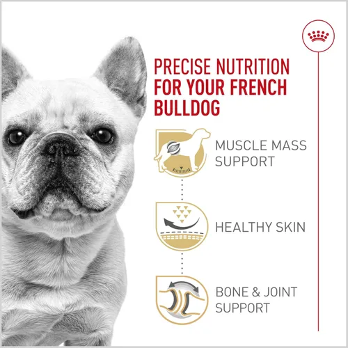 Miniatura 4 de Alimento seco Royal Canin Breed Health Nutrition para perros French Bulldog adultos, bolsa de 6 lb