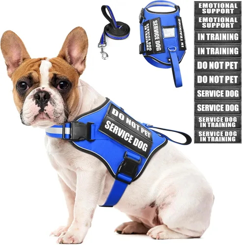 Miniatura 9 de Juego de arnés y correa para perro de servicio, chaleco de entrenamiento para perros con 10 parches para perros, arnés y chaleco para perros de Azul