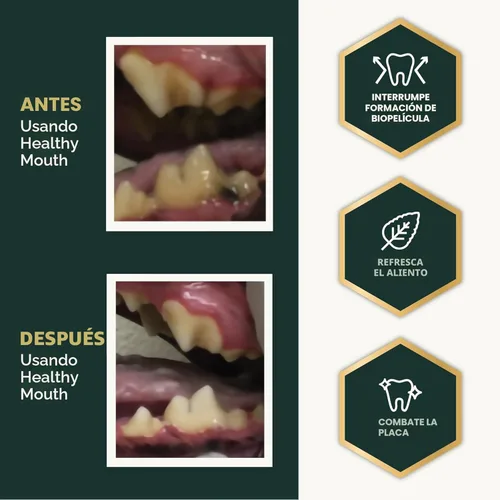 Miniatura 5 de VetriScience Polvo de cuidado dental para perros y gatos: ayuda a reducir la acumulación de placa y sarro, limpiar los dientes y un aliento más