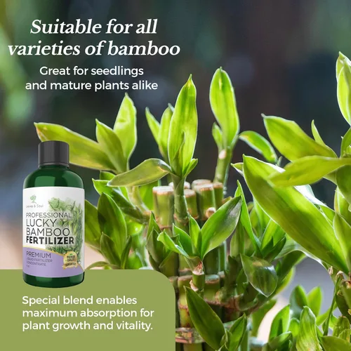 Miniatura 9 de Fertilizante líquido profesional para bambú de la suerte Concentrado 3-1-2 para plantas con flores Mezcla multiusos y suministros de jardinería
