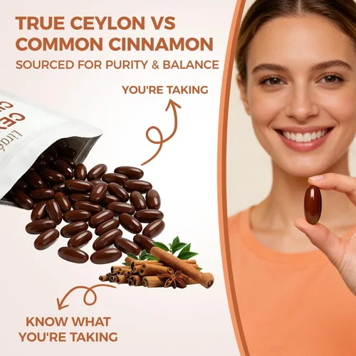 Miniatura 3 de LIRAE Ceilán Canela Ceilán Canela Geles Suaves Equivalentes con Aceite Mct, Extracto de Hierbas Altamente Biodisponible Sin OGM, Sin Gluten 300