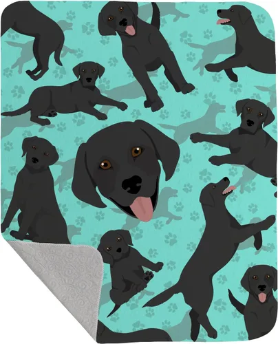 Miniatura 51 de Caroline's Treasures MLM1042LQB Airedale Terrier - Manta acolchada de 50 x 60 pulgadas, diseño de ilustraciones para cama, sofá, suave y ligera