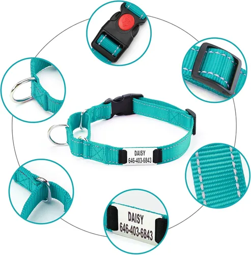 Miniatura 5 de Collar de perro Martingala personalizado con hebilla de bloqueo, collares de perro Martingala de entrenamiento personalizados grabados con nombre