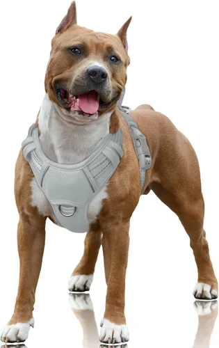 Miniatura 78 de BARKBAY Arnés para Perro Sin Tirones Talla Grande Arnés Reflectante para Perro con Clip Frontal y Asa de Control Fácil para Caminar Entrenar Correr