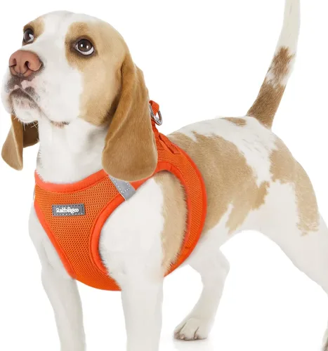 Miniatura 77 de rabbitgoo Arnés para perro pequeño, chaleco de malla suave para cachorros con hebilla de seguridad, arnés reflectante transpirable para mascotas