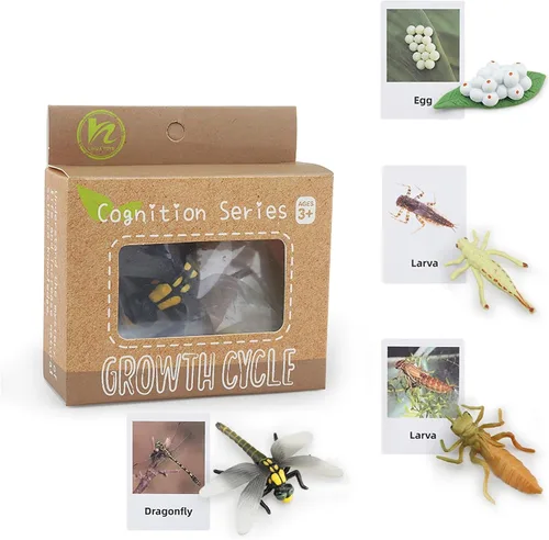 Miniatura 11 de Montessori Life Cycle Animal Insect Figurines Juguetes de aprendizaje y educación, juguetes de insectos de plástico para niños, actividades