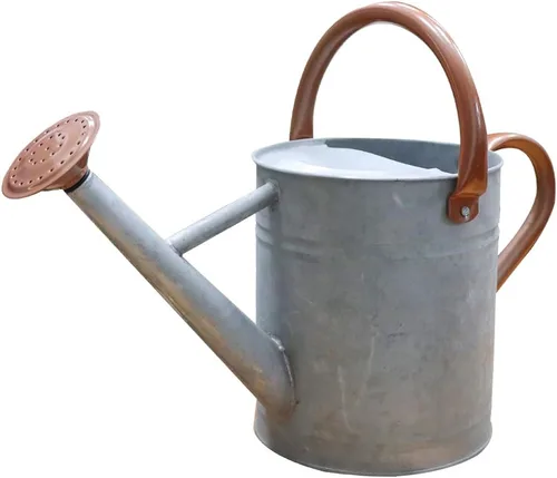 Regadera de metal, latas de riego de un galón de acero inoxidable para riego de plantas de jardín interiores y exteriores (zinc de 1 galón)