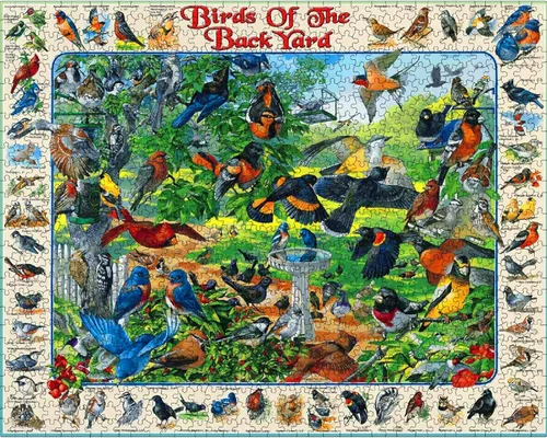 Miniatura 3 de White Mountain Puzzles Birds of the Backyard - Rompecabezas de 1000 piezas