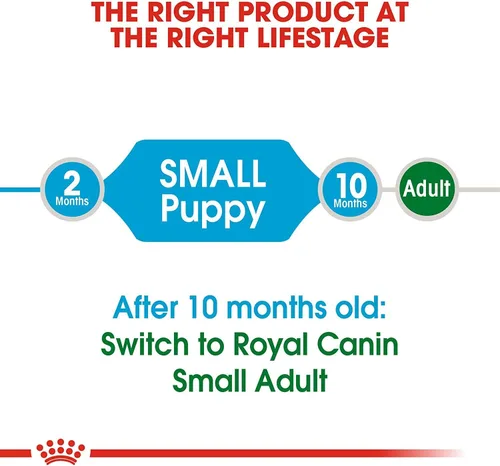 Miniatura 4 de Royal canin Tamaño Salud Nutrición Mini cachorro seco – Comida para Perro