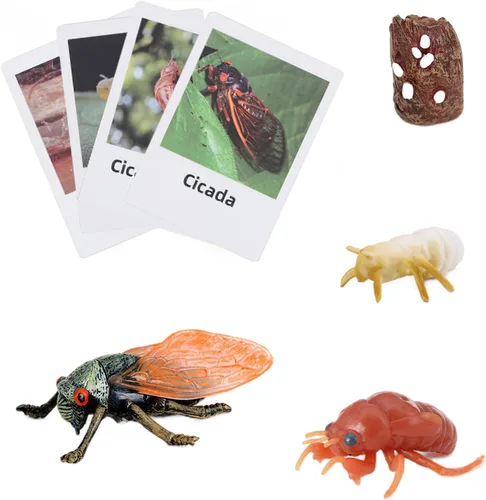 Montessori Life Cycle Animal Insect Figurines Juguetes de aprendizaje y educación, juguetes de insectos de plástico para niños, actividades