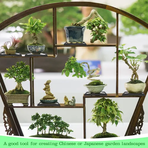 Miniatura 5 de Pinkunn 2 Piezas Bandeja de Humedad para Bonsái Bandeja de Goteo Plásticas Captador de Agua para Plantas Platillos para Interiores y Exteriores