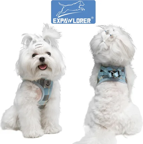 Miniatura 4 de EXPAWLORER Arnés Clásico de Plátanos para Cachorros - Juego de Arnés y Correa para Perros Pequeños - Juego de Collar y Correa para Perros con Azul