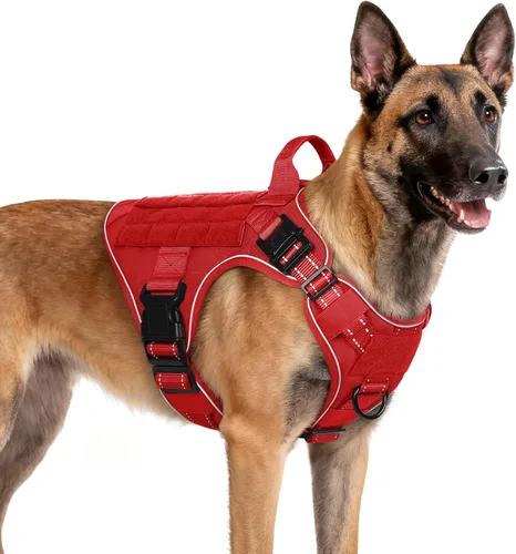 Miniatura 43 de rabbitgoo - Arnés táctico para perros pequeños, arnés resistente para mascotas con asa, chaleco de servicio sin tirones para razas pequeñas, chaleco