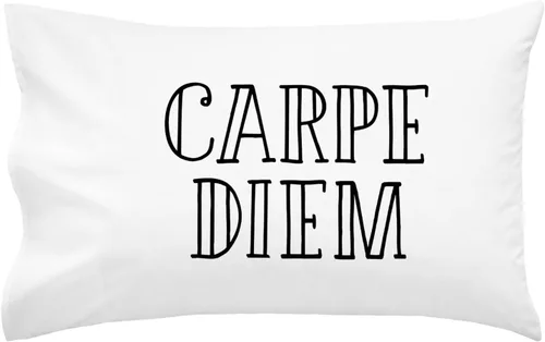 Miniatura 12 de Oh, Susannah Carpe Diem - Funda de almohada cursiva de 18 x 18 pulgadas, fundas de almohada inspiradoras doradas