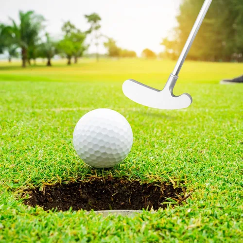 Miniatura 5 de Putters de golf, putters bidireccionales para hombres, mujeres, adultos, diestro/zurdo, juego de miniclub de golf para niños, adolescentes con 2