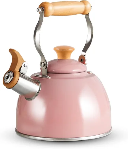 ROCKURWOK - Hervidor de Té, Tetera con Mango Ergonómico de Toque Frío, Tetera de Acero Inoxidable de Grado Alimentario, Hervidor de Té para Estufa,