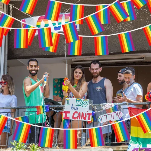 Miniatura 5 de Paquete de 4 banderas de orgullo LGBTQ arco iris, bandera de arco iris, banderas de orgullo LGBTQ para festival del orgullo, carnaval, fiesta, día
