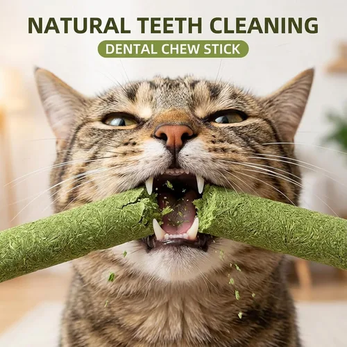 Miniatura 3 de 10Pcs/50g Cat Toys Kitten Freeze Dried Catnip Cat Grass Teething Stick Treat for Indoor Cats Edible Removal Hairballs Kitten Toys Kitty Chew for