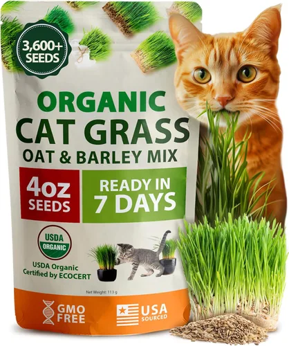HOME GROWN Mezcla orgánica de semillas de hierba de gato (avena y cebada) – 4 oz – Maceta de interior fácil