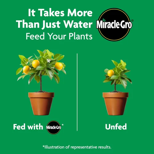 Miniatura 9 de Miracle-Gro Shake 'N Feed Alimento vegetal de liberación continua para cítricos, aguacate y mango, 4.5 libras