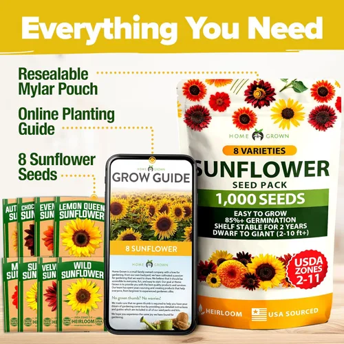 Miniatura 6 de Home Grown Semillas de girasol para plantar 8 variedades de paquetes de semillas de flores de sol para plantar: cultivar girasoles enanos