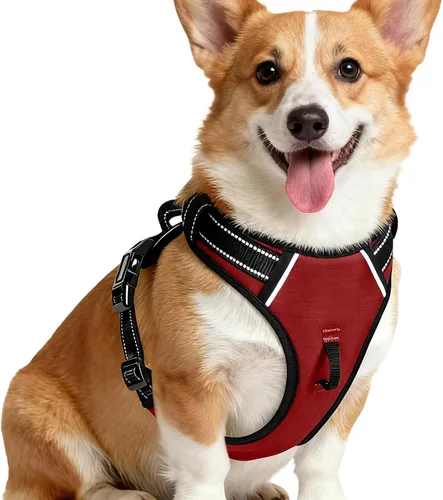 Miniatura 27 de Arnés para perro sin tirones, chaleco reflectante ajustable y acolchado para mascotas con asa de fácil control, fácil de llevar con nudo elegante