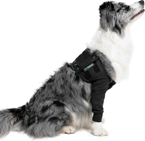 Miniatura 15 de Suitical Manga de Recuperación para Perro, Mediano, Negro Manga única negra