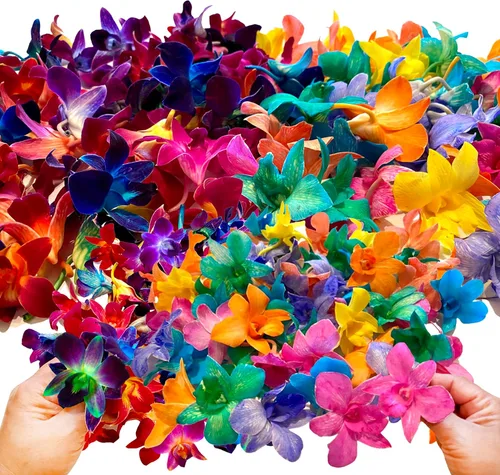 Miniatura 15 de Miami Fresh Orchid Flower OrchidClub USA Sunne Tropical Loose Bloom DIY Lei Food Drink Decoración (50 morado)