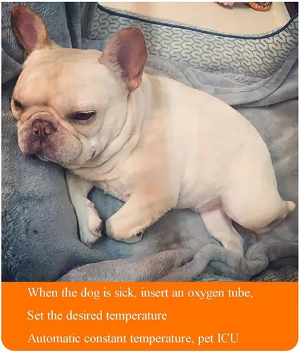 Miniatura 4 de Incubadora grande de mascotas para perros, incubadora de cachorros, incubadora de gatos para cachorros, temperatura constante inteligente