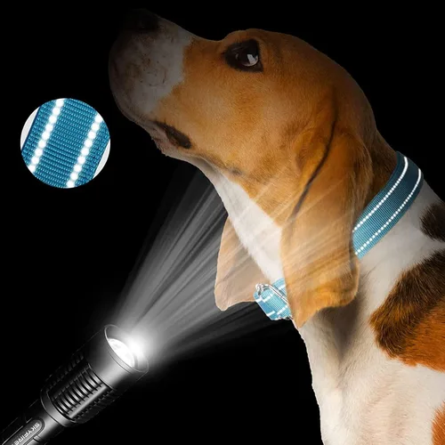 Miniatura 4 de 12 collares de Martingala para perros medianos, collar reflectante para perro con hebilla de metal duradera, nailon ajustable para mascotas que