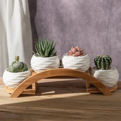 Miniatura 3 de E-liu Juego de macetas y soporte para suculentas, maceta de cerámica blanca con drenaje, paquete de 4, bonita decoración de interiores de oficina