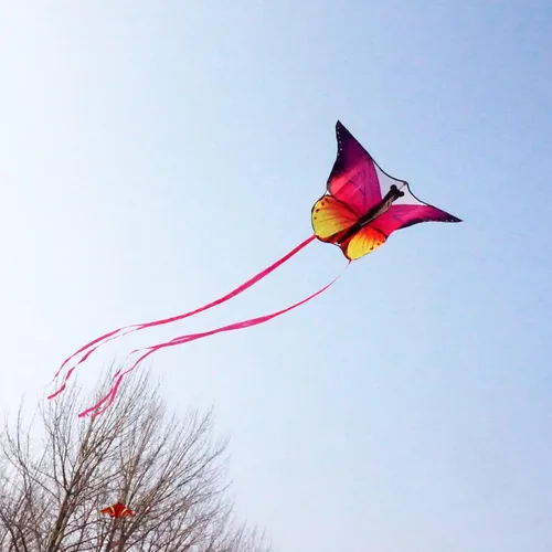 Miniatura 3 de Cometa de mariposa de 53 pulgadas con líneas voladoras fácil de volar para niños y adultos