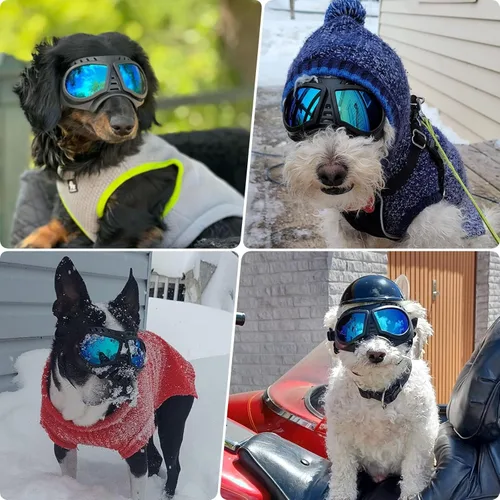 Miniatura 2 de Gafas de sol para perros de razas pequeñas a medianas, lentes de sol para perros pequeños, protección UV, resistente al viento, a prueba de nieve