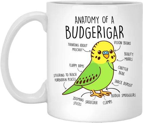 Taza de café Budgie, lindo regalo de pájaro, amante de los loros de las mascotas, regalo divertido para ella, él, taza de anatomía de periquito