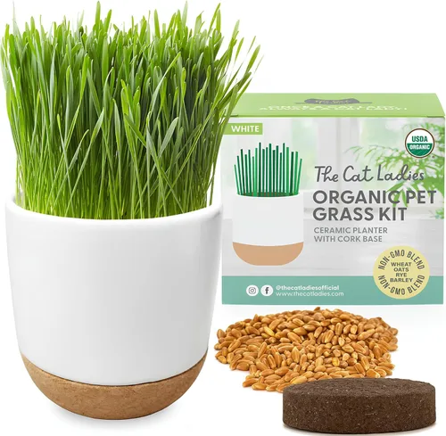 Kit de césped para gatos de interior de The Cat Ladies con mezcla de semillas de césped orgánico para gatos, tierra y maceta de cerámica y corcho,