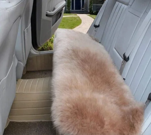 Miniatura 9 de Calor Invernal: Funda Universal de Asiento de Piel de Oveja - Lana Natural, para Autos, Camiones, SUV y Furgonetas - Acompañante de Conducción
