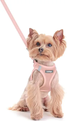 Miniatura 103 de rabbitgoo Juego de arnés para perro de tamaño pequeño y correa, chaleco ligero suave para cachorro, arnés de malla transpirable para mascotas