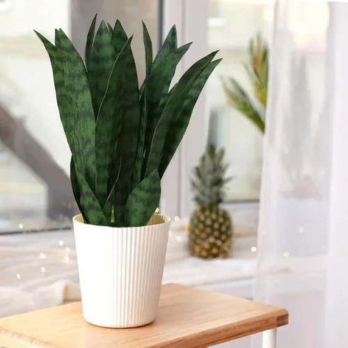 Miniatura 3 de summer flower Juego de 10 plantas de serpiente falsas de 15 pulgadas, pequeñas hojas artificiales de Sansevieria, tallos de plantas de serpiente