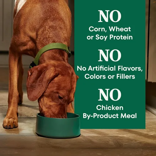 Miniatura 7 de Nutro Natural Choice - Alimento seco para perros adultos, receta de carne de res y arroz integral, bolsa de 4.5 libras