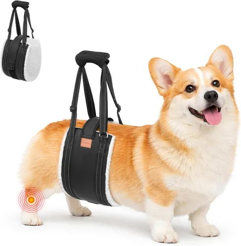 LOOBANI Arnés de elevación para perros para patas traseras, arnés portátil para perros grandes, soporte para patas traseras, cómodo soporte para