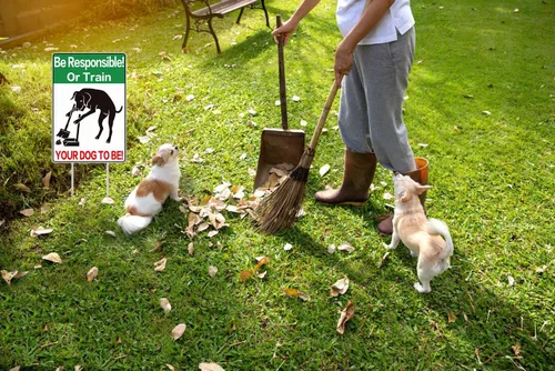 Miniatura 3 de D4DREAM Letrero de perro de doble cara de 8 x 12 pulgadas con estacas, plástico resistente a la intemperie, evita que los perros hagan caca en el A01