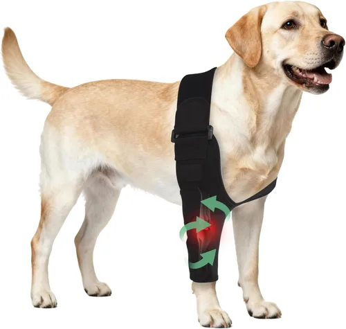 Codera ajustable para perro con soporte de hombro, soporte de pierna delantera de perro para ligamentos desgarrados, artritis, rehabilitación Pierna