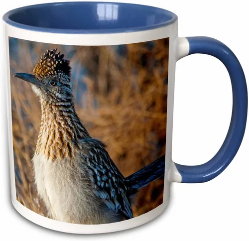 Miniatura 8 de 3dRose Roadrunner bird, Bosque del apache NWR, New Mexico-US32 CHA0044-Chuck Haney - Taza de dos tonos, 11 onzas, negro/blanco