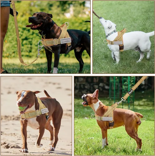 Miniatura 7 de Lukovee Arnés para perro sin tirones y correa - Arnés de chaleco para perros resistente con acolchado suave para perros medianos y grandes, arnés