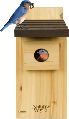 Miniatura 8 de Wild Wings WWCH3 Cedro Blue Bird Box House