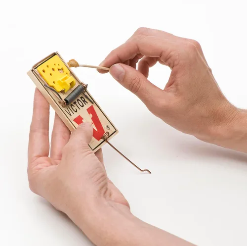 Miniatura 10 de VICTOR Trampa para ratones fácil de instalar, 2
