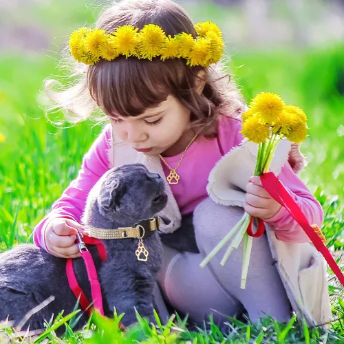 Miniatura 7 de Hicarer 150 dijes con estampado de pata, pulsera de huellas de perro, cuentas de huella de animal, joyería para joyas, collares, pulseras