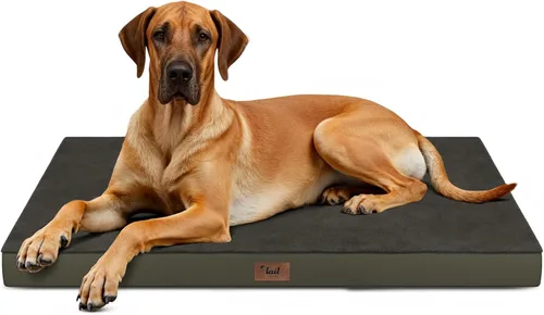 Miniatura 85 de Cama ortopédica de felpa para perros y cachorros medianos, camas impermeables para perros de 30 x 20 pulgadas con funda extraíble lavable, tapete