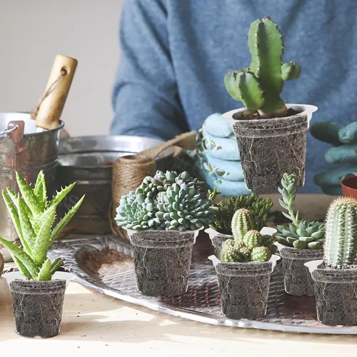 Miniatura 5 de winemana Bandeja de inicio de semillas de 4 pulgadas para semillas de lechuga de hierbas vegetales, macetas para plantas de interior y tierra